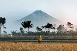Sembilan Gunung Tertinggi di Indonesia