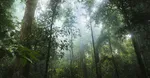 Energi Bukan Sekadar Kata