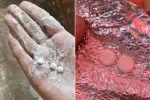 Keji! AS dan Penjajah Israel Selundupkan Narkotika ke Gaza Lewat Bantuan Tepung