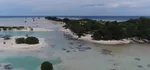 Pulau Pari, Surga yang Digerus Keserakahan