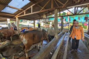 Bisnis Hewan Kurban Untuk Biayai Dakwah; Sekali Potong Dapat 3 Pahala