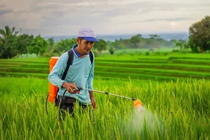 Semangat untuk Para Pejuang Nafkah