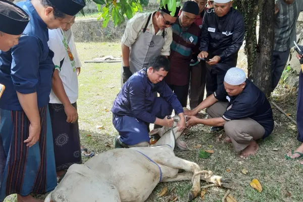 Upaya FMC Cetak Juru Sembelih Halal yang Andal