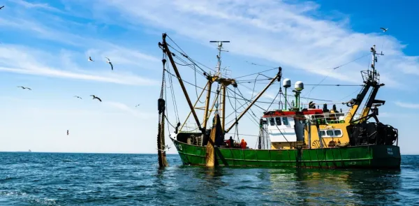 Zakat Ikan dan Hasil Laut