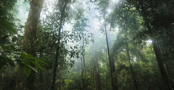 Energi Bukan Sekadar Kata